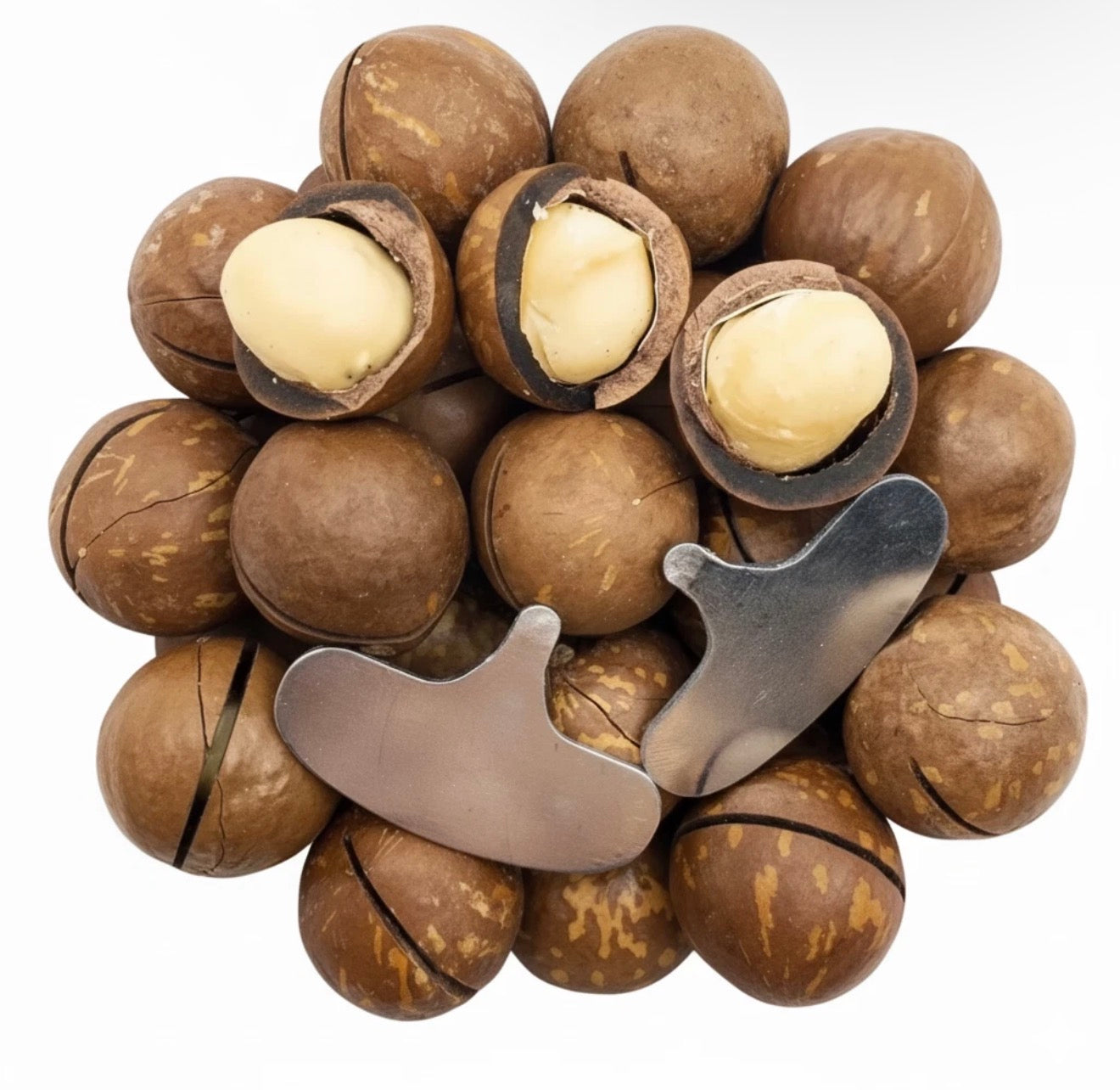 Macadamia Nuts in Shell – 1kg