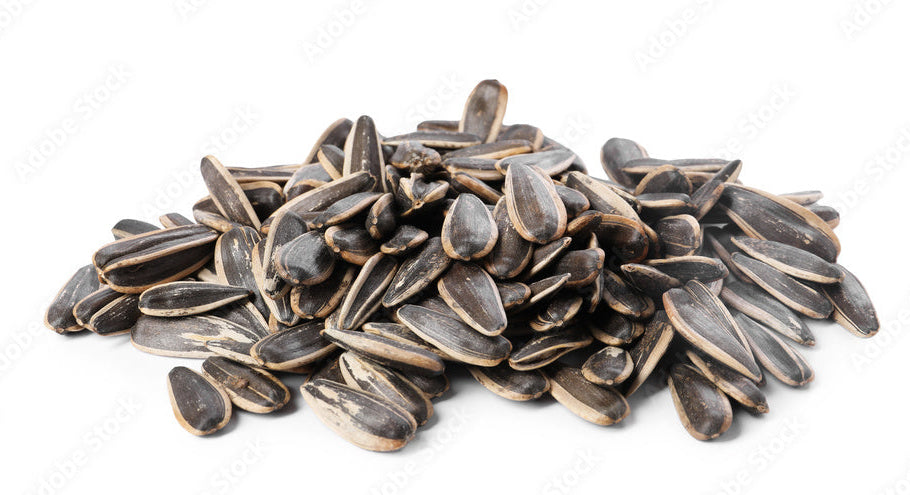 Roasted Salted Sunflower Seeds in Shell 1kg