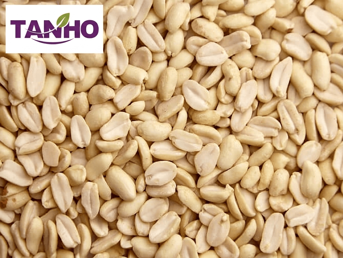 TANHO Nuts & Seeds Blanched Peanuts 25kg Blanched Peanuts 25kg
