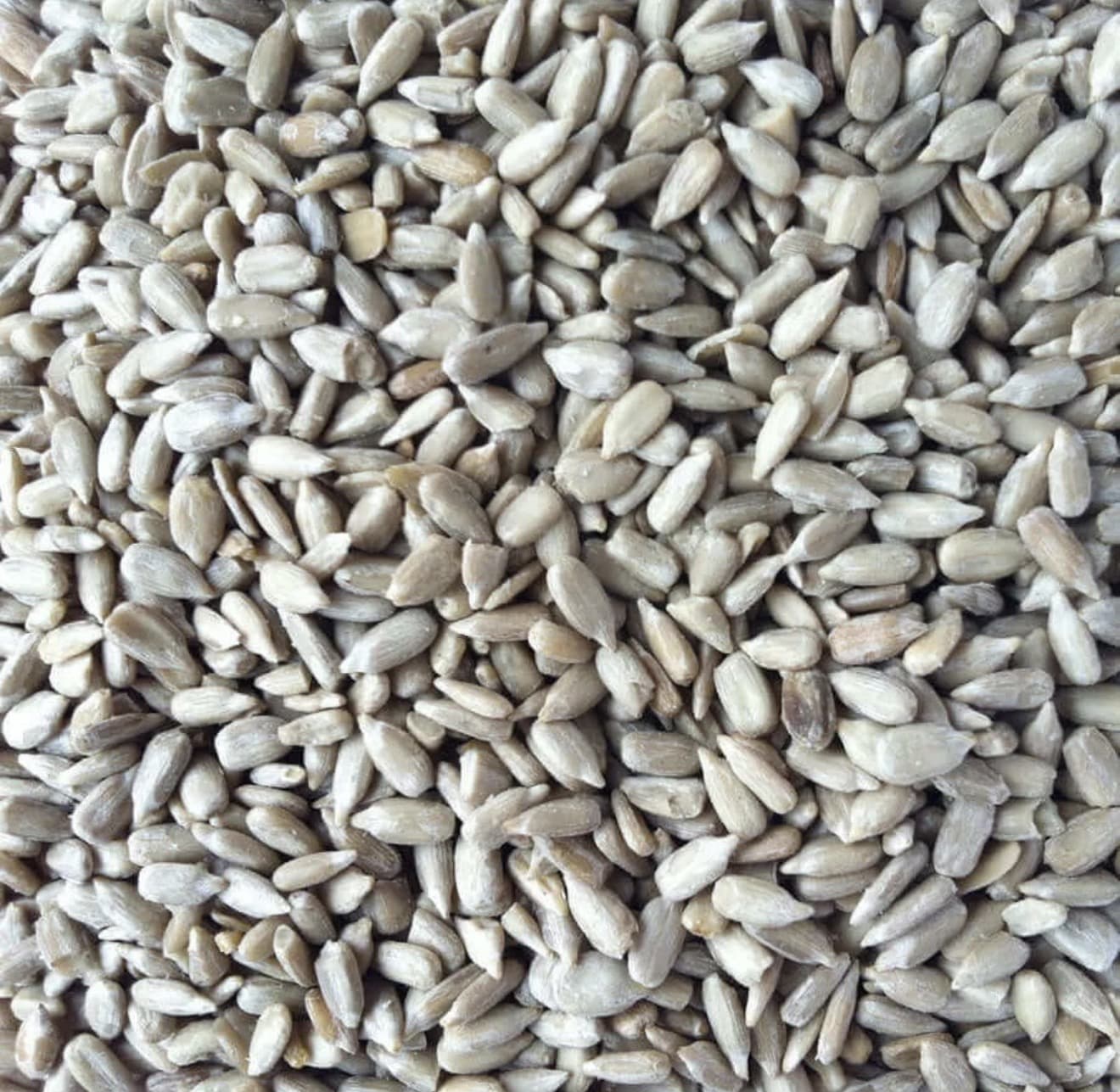TANHO Nuts & Seeds Raw Sunflower Seed Kernels (Hearts) Jumbo Size 25kg Raw Sunflower Seed Kernels Jumbo 25kg | Wholesale UK | TANHO