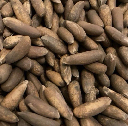 TANHO Nuts & Seeds Afghani Pine Nuts (Chilgoza) Afghani Pine Nuts (Chilgoza) | Buy UK