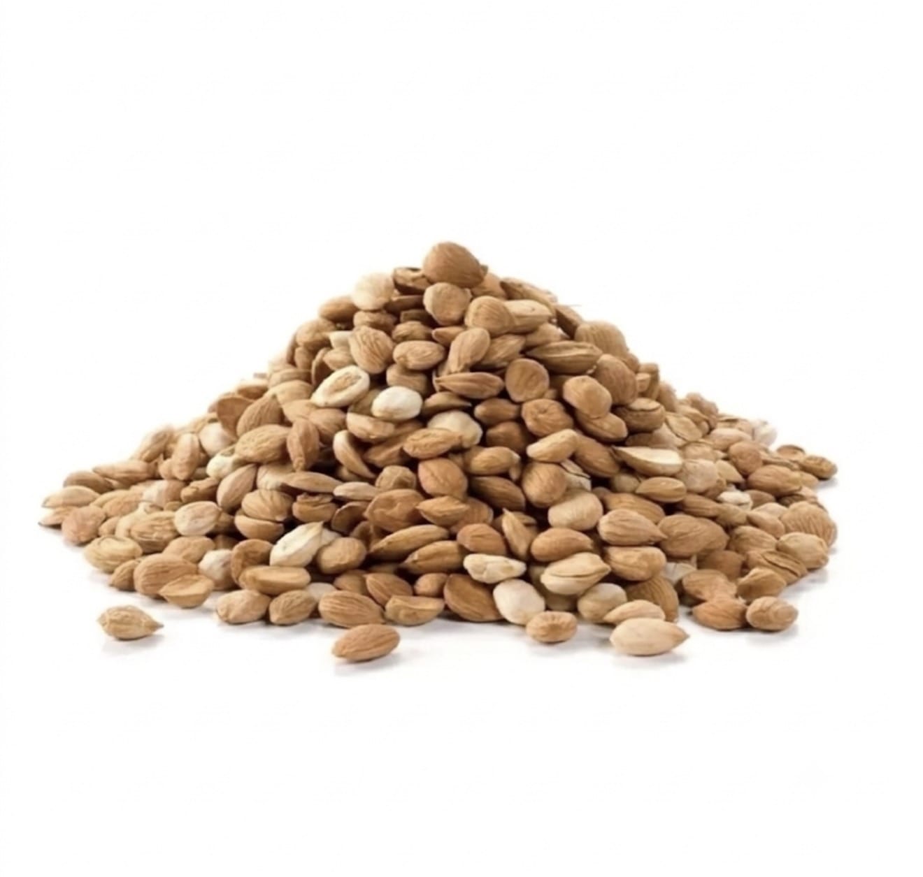 TANHO Nuts & Seeds Apricot Seeds Non Bitter 10kg Apricot Seeds Non Bitter 10kg | Wholesale UK | TANHO