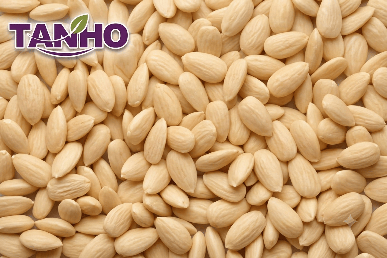TANHO Nuts & Seeds Blanched Almonds 10kg Blanched Almonds 10kg