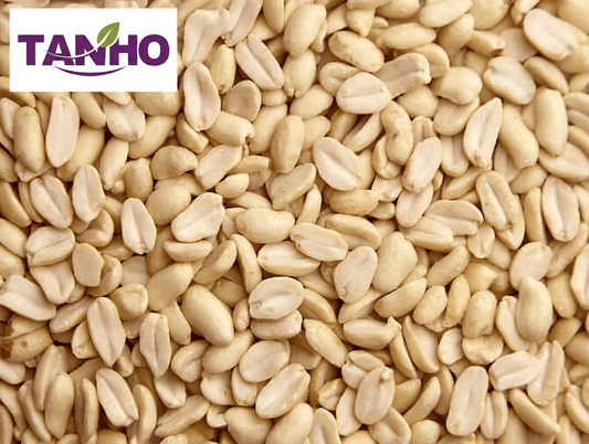 TANHO Nuts & Seeds Blanched Peanuts 25kg Blanched Peanuts 25kg