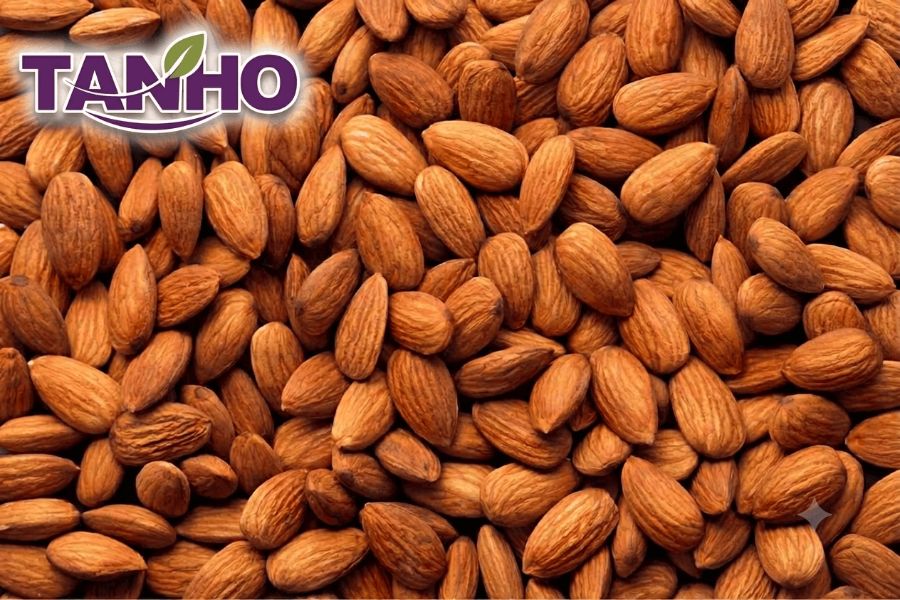 TANHO Nuts & Seeds Jumbo Californian Almonds 22.68kg Jumbo Californian Almonds 22.68kg
