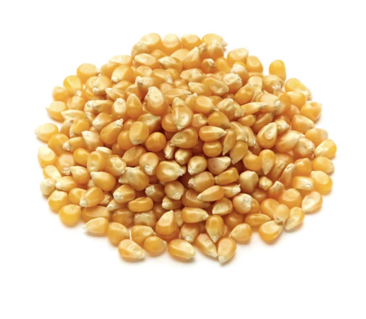 TANHO Snacks Popcorn Seeds Popcorn Seeds | Buy Online UK | TANHO