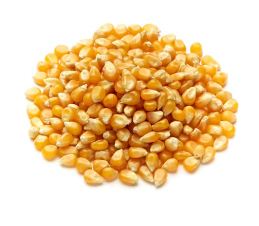 TANHO Snacks Popcorn Seeds Popcorn Seeds | Buy Online UK | TANHO